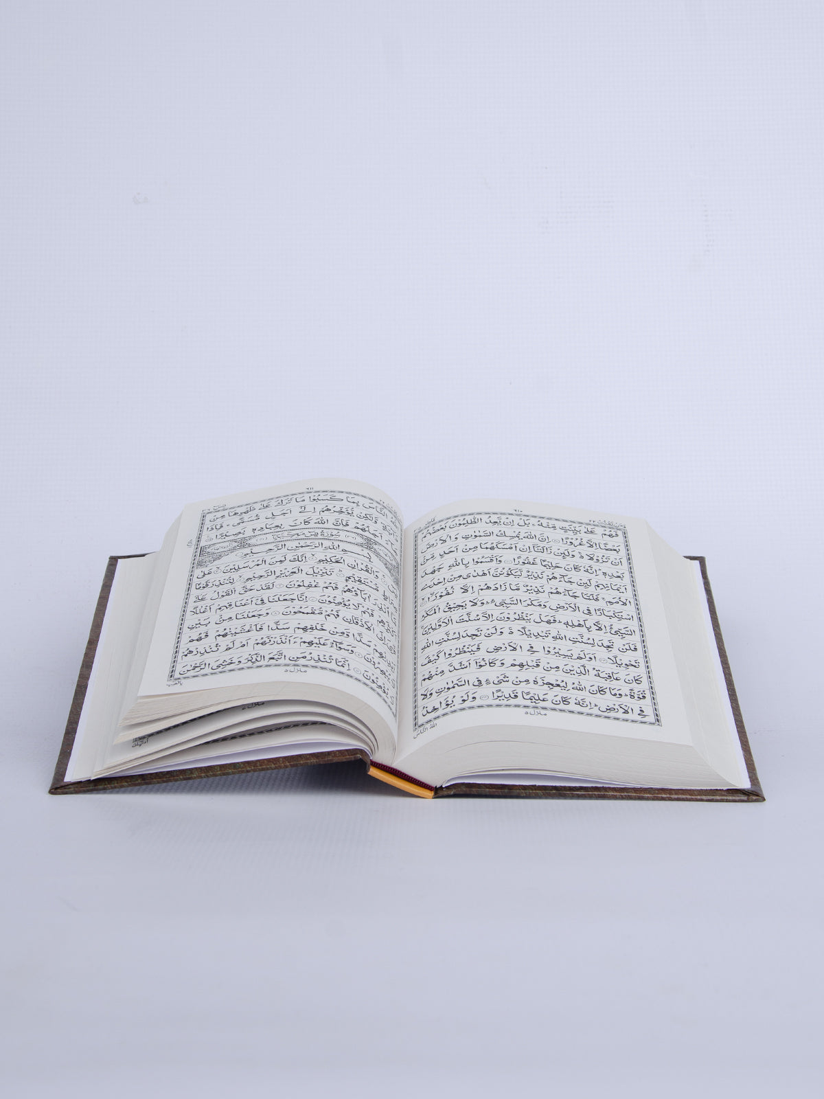 Quran 13 Line LMA - view 2