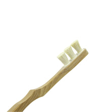 Toothwak Classic (Brush Only)